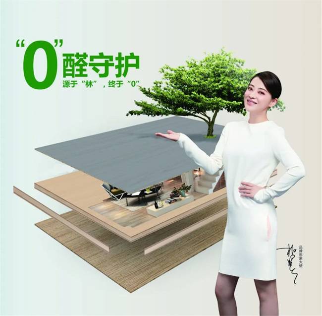 國慶黃金周家裝必備：金利源ENF級(jí)香杉實(shí)木生態(tài)板